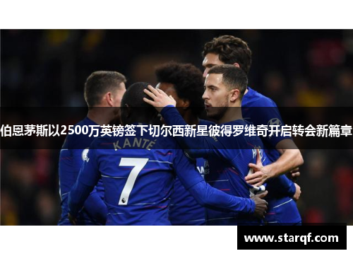 伯恩茅斯以2500万英镑签下切尔西新星彼得罗维奇开启转会新篇章
