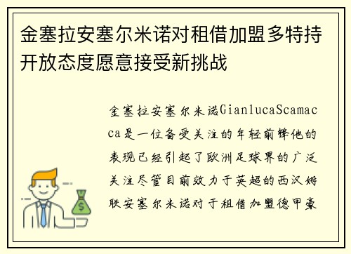 金塞拉安塞尔米诺对租借加盟多特持开放态度愿意接受新挑战